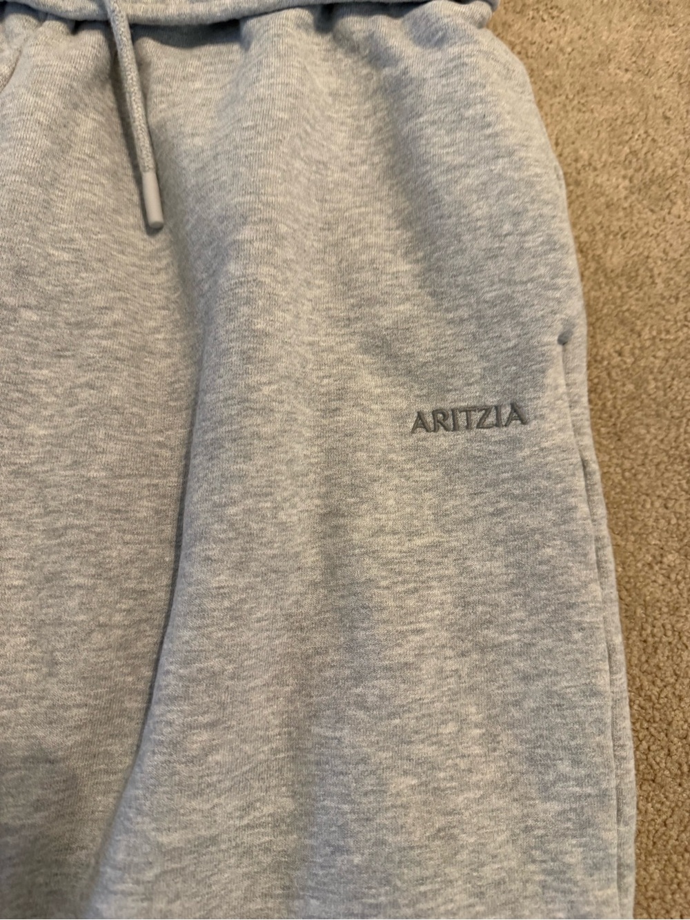 Aritzia Sweatfleece Mega Fit Sweatpants - Picture 3 of 4